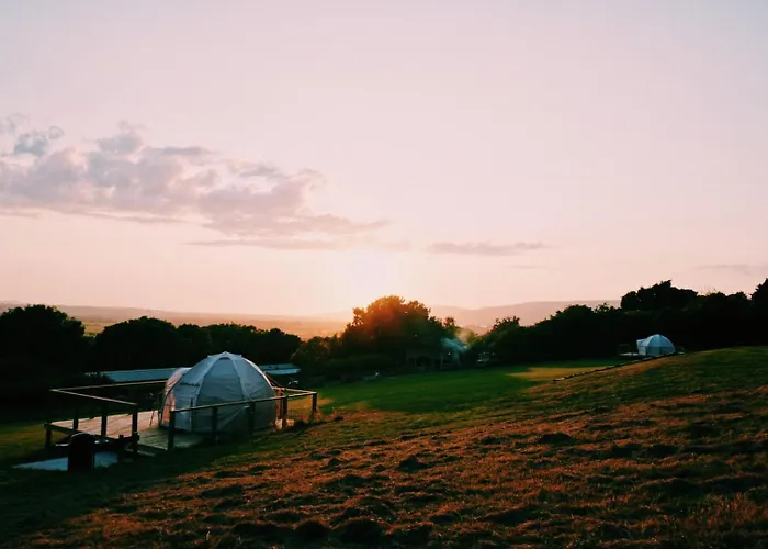 The Paddocks Glamping