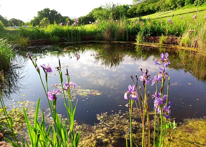 The Paddocks Glamping