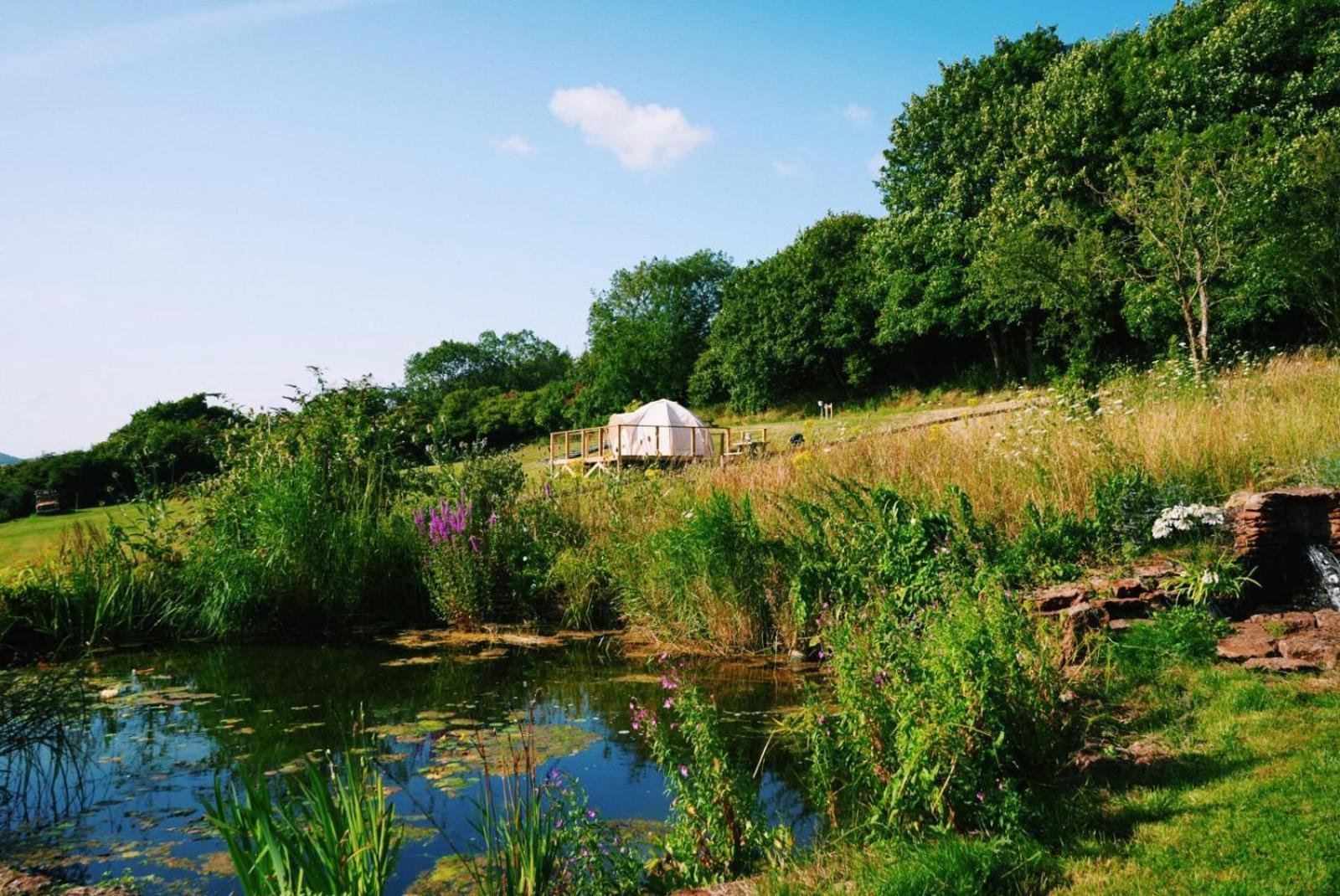 The Paddocks Glamping Draycott (Somerset)