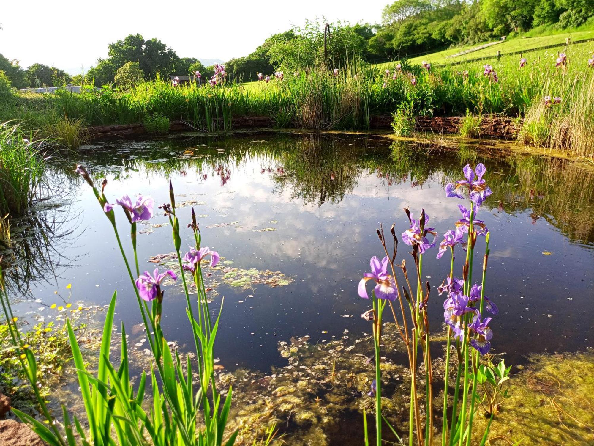 The Paddocks Glamping Draycott (Somerset)