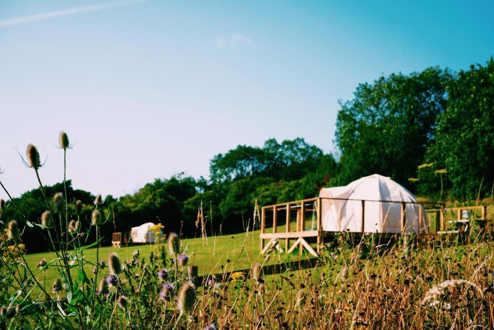 Luxury tent The Paddocks Glamping